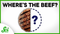 Cutting Beef Could Reduce Emissions. No, Like, a Lot Instructional Video