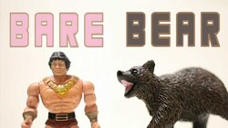 Mastering the Difference: Bear vs. Bear Instructional Video