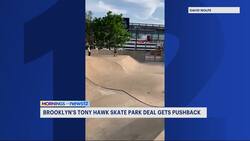 Community meeting to be held Monday to discuss Brooklyn's controversial skate park project News Clip