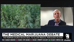 Utah's Medical Pot Ballot Initiative Has Support From Mormon Church News Clip