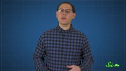 This Diagram of Earth Is a Lie Instructional Video