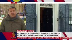 EU agrees to delay Brexit until January 31 next year News Clip