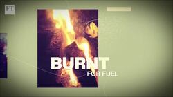 Can we solve the peat predicament? Instructional Video