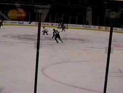 Snake locomotion (2) Instructional Video