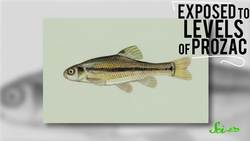 Your Pee is Pollution Instructional Video