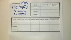 Testing a Model Instructional Video