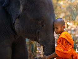 Politeness and Civility Instructional Video