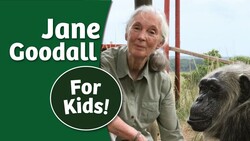 Jane Goodall Story for Kids Instructional Video