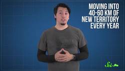 Why Can't We Just Kill Off Invasive Species? Instructional Video