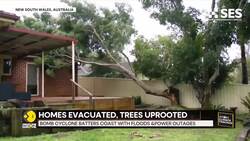 Bomb Cyclone Pummels Australia's East Coast News Clip