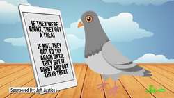 Can Pigeons Really Read Instructional Video