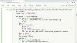 Data Science and Machine Learning (Theory and Projects) A to Z - DNN and Deep Learning Basics: DNN Implementation Minibatch Gradient Descent Instructional Video