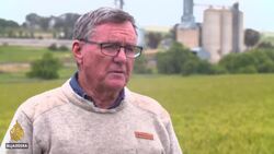 Australian farmers brace for China ban, eye new markets News Clip