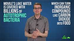 Weird Places Movile Cave Instructional Video