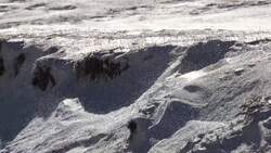 I WONDER - What Was A Viking Raider? Instructional Video