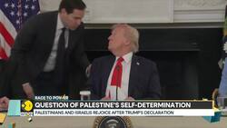 Post-War Gaza and the Question of Palestinian Self-Determination News Clip