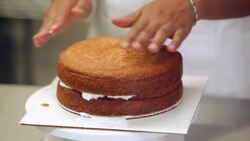 How to Assemble a Ladybug Cake for a Kids' Party Instructional Video