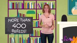 3 Amazing Facts About Dogs! Instructional Video