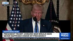 Trump calls Elon Musk a Patriot when asked about his role in administration News Clip