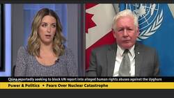 Russia 'playing poker' with nuclear power plant: Bob Rae News Clip