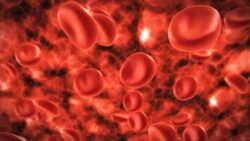 Red Blood Cells Instructional Video