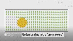Scientists have designed a protein-based molecular motor. How does 'The Lawnmower' work? News Clip