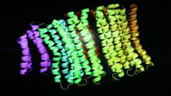 New Drug Offers Hope in Fight Against Tuberculosis Instructional Video