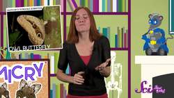 Animal Tricksters! Instructional Video