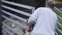 Nowt but a fleeting thing Instructional Video