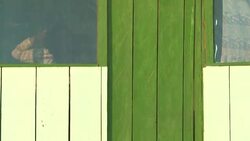 CLEAN : The Tacana in Bolivia caught between mining oil exploitation in Amazon News Clip