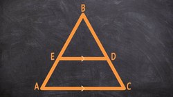 What is the triangle proportionality theorem Instructional Video