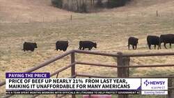 Price Of Beef Increasing, Nearly Unaffordable For Many Americans News Clip