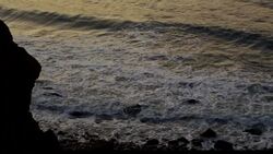 The East End: Relic Design News Clip