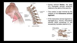 The Transverse Cervical Ligament EXPLAINED Instructional Video