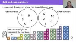 Explain what odd and even numbers are and the difference between them Instructional Video