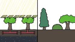 Why Biodiversity Is Good For The Economy Instructional Video