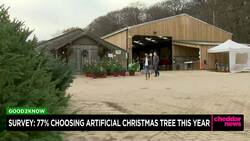 Survey: Most Are Choosing Artificial Christmas Trees This Year News Clip