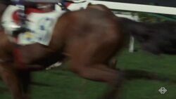 Happy Valley Horse Races Instructional Video