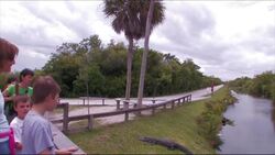 Everglades National Park - Visitors at Shark Valley Instructional Video