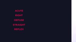 Types of Angles Instructional Video