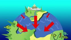 Flight Forces: Exploring Weight in Aviation Instructional Video