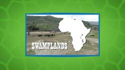 Who's the Boss? You Wouldn't Want to Spar With a Cape Buffalo Instructional Video