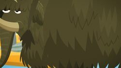 The Backpack Instructional Video