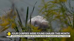 Fifth body found in seine at Charenton‑le‑Pont; no link yet to earlier murders News Clip