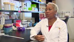 Why boosting Black students in STEM requires collecting data News Clip