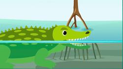I WONDER - What Animals Live In Swamps? Instructional Video
