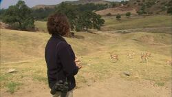 What It’s Like to Work With Animals 24/7 as a Keeper Instructional Video