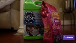 'Pets For Life' Working To Address 'Veterinary Deserts' Across America News Clip