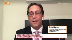 Wells Fargo's Harvey on the Treasury Yield Rally News Clip