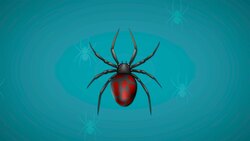 I WONDER - Is A Spider An Insect? Instructional Video